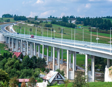 Miniatura: Śmieciowy problem zrujnował spokój górali....