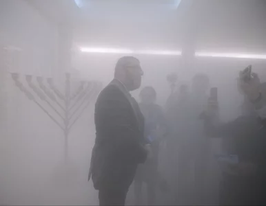 Miniatura: Senator PiS wyłamał się w ocenie Brauna....