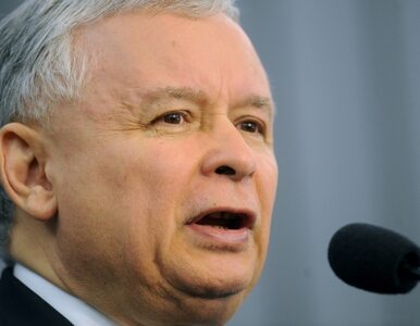 Miniatura: Kaczyński: śląskość cenimy, ale naród...