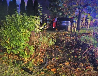 Miniatura: Córki ofiary wypadku oburzone wyrokiem...