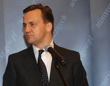 Miniatura: Sikorski: za 10 lat będziemy poważnym krajem