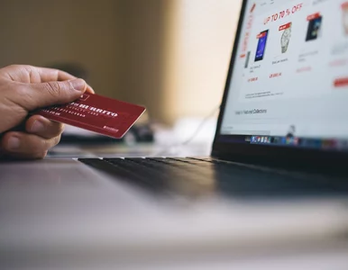 Miniatura: Dynamiczny rozwój polskiego e-handlu