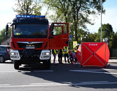 Miniatura: Sześciolatek zginął na pasach. Autem...