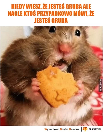 Mem na temat odchudzania 