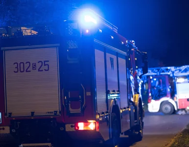 Miniatura: Szokujące ustalenia po pożarze kamienicy....