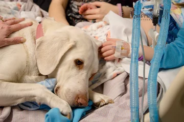 Leczenie dziewczynki dokumentowane było na facebookowym profilu Braylynn's Battalion 