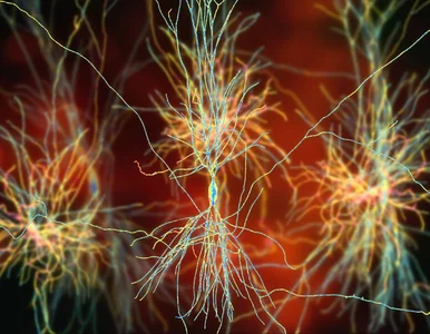 Miniatura: Izraelscy naukowcy znaleźli „przełącznik”...