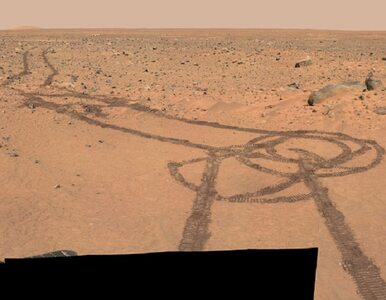 Miniatura: Internauci odkryli na Marsie... ślady penisa