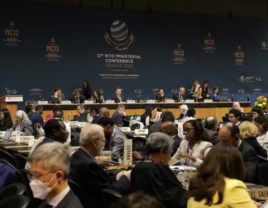 Miniatura: WTO z porozumieniem po pięciu dniach...