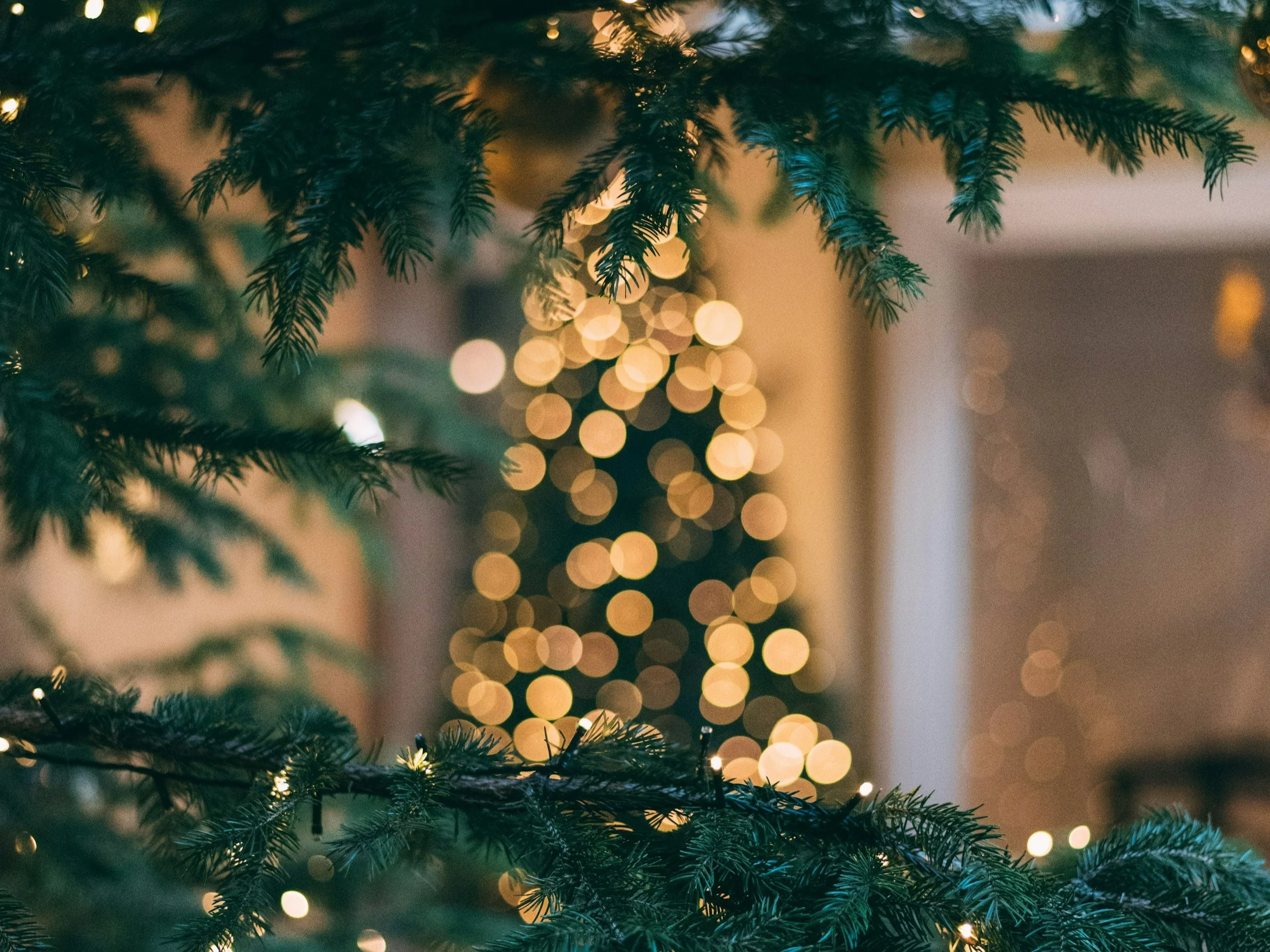 Świąteczny quiz z ortografii. 10/10 to obowiązek