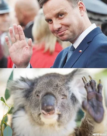 Memy po wpadce Andrzeja Dudy w Nowej Zelandii 
