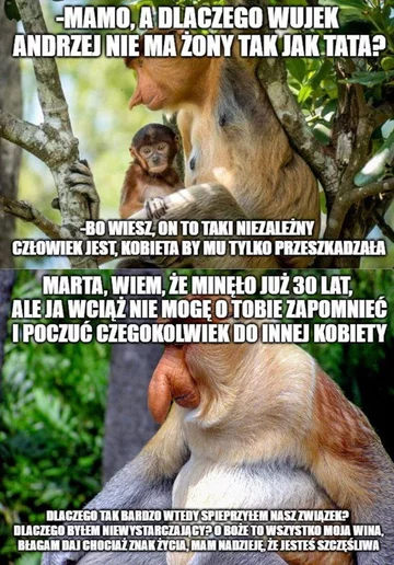 Smutny mem z nosaczem 