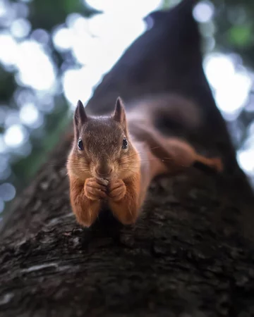 Autorem zdjęć jest Ossi Saarinen 