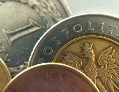 Miniatura: Polacy zadłużeni na 16 miliardów złotych....