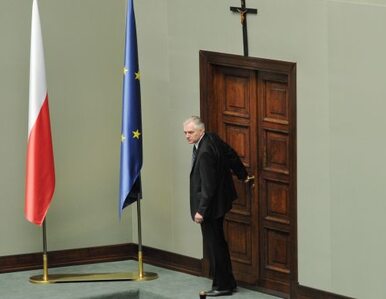 Miniatura: Sejm: Palikot krzyża nie ruszy?