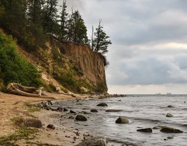 Miniatura: Tragiczne odkrycie na plaży w Gdyni....