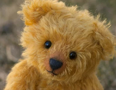 Miniatura: AI zmierza do zabawek dla dzieci. Rodzice...