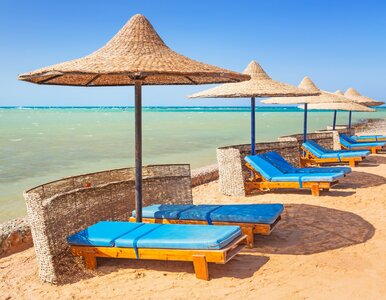 Miniatura: Noclegi, loty i jedzenie bez limitu. Tutaj...