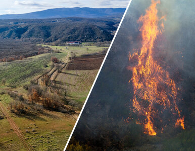 Miniatura: To uwielbiany przez Polaków kraj. Władze...