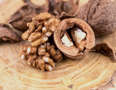 Miniatura: Mole w orzechach włoskich. Umyj, upraż i...