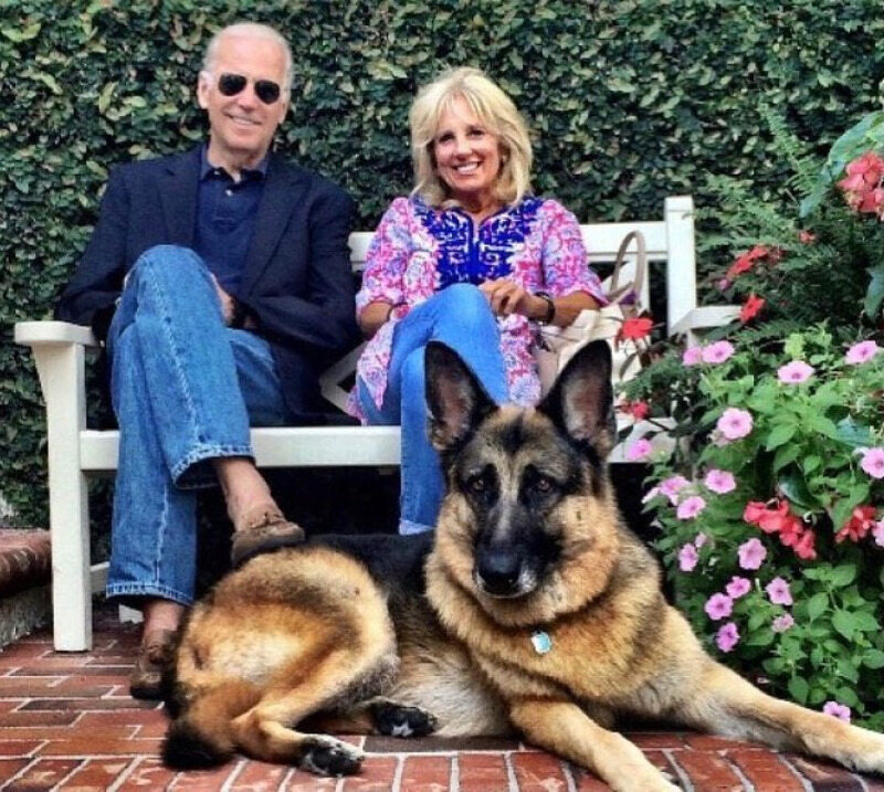 Joe i Jill Bidenowie oraz ich psy 