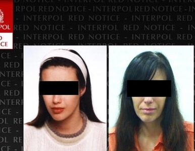 Miniatura: Interpol: Aresztowano polską przemytniczkę...