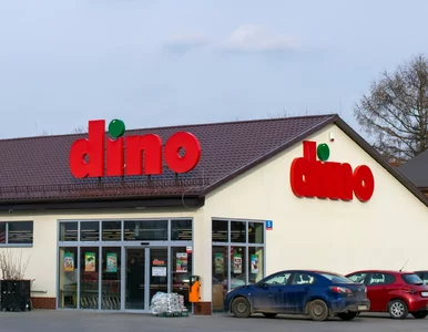 Miniatura: Dino szuka pracowników. Tyle można zarobić