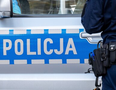 Miniatura: Interwencja policji w Gdańsku wywołała...