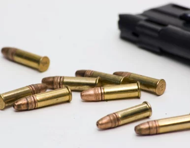 Miniatura: Liedel o użyciu broni przez policję:...