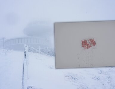 Miniatura: Nie tylko zorza. W Karkonoszach pojawiła...