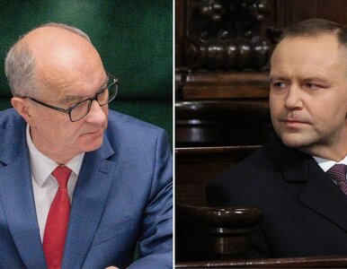 Miniatura: Czarzasty bez ogródek o zachowaniu...