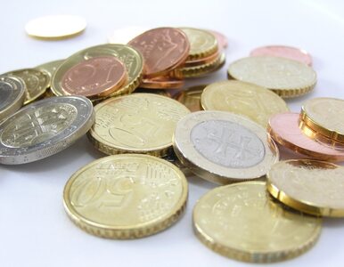 Miniatura: PiS pyta czy ratujemy euro zgodnie z...