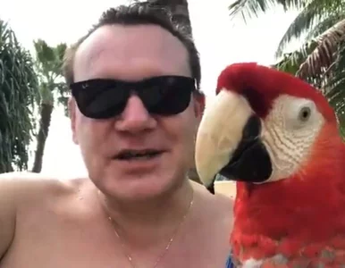 Miniatura: Tarczyński „robił na lotnisku wszystko,...