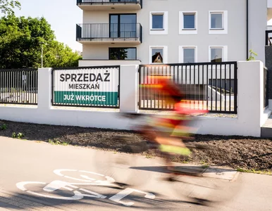 Miniatura: Kawalerka dla trzylatka? „Polacy kupują...