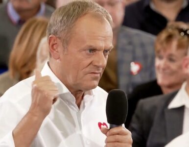 Miniatura: Tusk: Leśnicy nie mogą już patrzeć na to,...