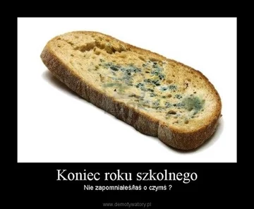 Zakończenie roku szkolnego - okolicznościowe memy 
