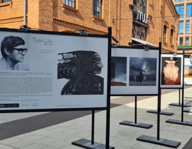 Miniatura: Nie tylko Banksy i Beksiński....