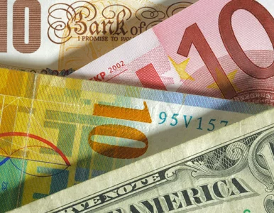Miniatura: Złoty odzyskuje siły. Frank mocno w dół