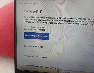Miniatura: Twój e-PIT nie zadziała. Skarbówka wyłącza...