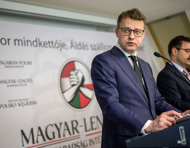 Miniatura: Ścigany w Polsce Marcin Romanowski znalazł...