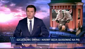 Memy po zapowiedziach o programie "500 plus dla krów" 