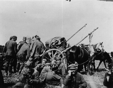 Miniatura: QUIZ historyczny. Te daty powinien znać...