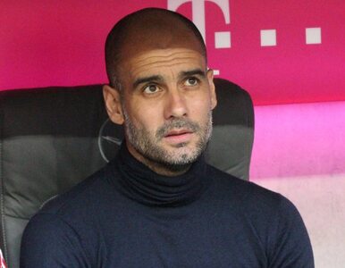 Miniatura: Guardiola przedłuży kontrakt z Bayernem?