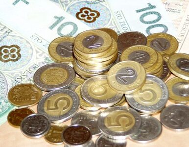 Miniatura: Polacy zaoszczędzili ponad bilion złotych