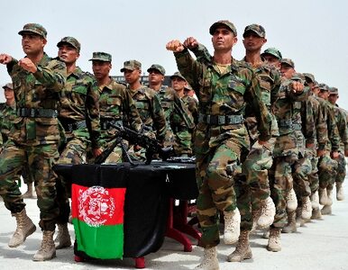 Miniatura: Afgański żołnierz zastrzelił...