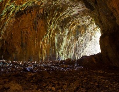 Miniatura: Po 70 latach otwarto jaskinie. W środku...