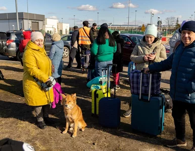 Miniatura: Ukraina odrzuciła propozycję Moskwy....