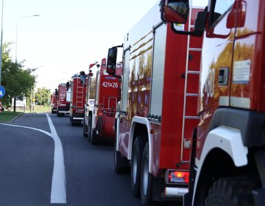 Miniatura: Polscy strażacy przyjechali na pomoc....
