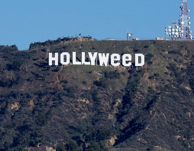 Miniatura: „Hollyweed” na słynnym wzgórzu. Wandal...