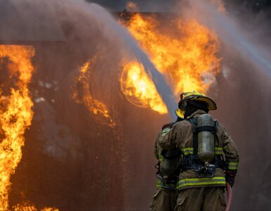 Miniatura: Gigantyczny pożar na Mazowszu. Ogień wciąż...